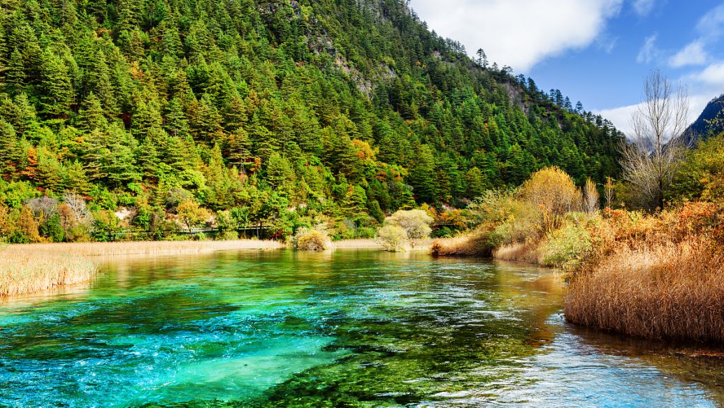 遠程工作者的7個旅行提示