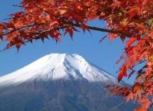 日本東京、大阪、名古屋、箱根、富士山本州全景6日游