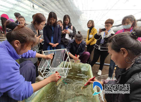 八角灣藍色種業硅谷 “種”出海洋產業“生態圈”