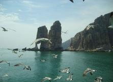 十一:長島休閑二日游 十一:長島休閑二日游