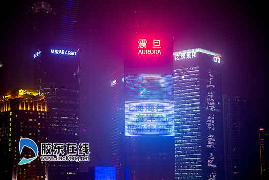 上海海昌海洋公園名稱正式確定  萬張體驗票免費派送