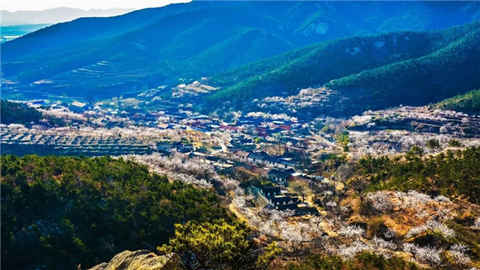 里口山村再添“國字號”殊榮 獲評“全國鄉(xiāng)村治理示范村”榮譽(yù)稱號