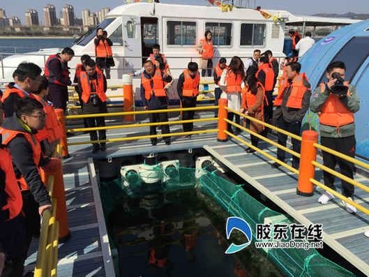 媒眼看煙臺：復合型海洋牧場水上水下大有文章