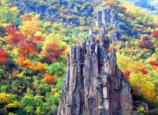 新店特促！哈爾濱、五大連池、齊齊哈爾雙飛六日游