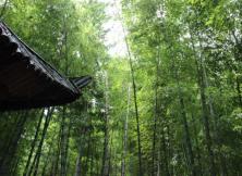 無極鬼谷、日照竹洞天、東夷小鎮二日游 無極鬼谷、日照竹洞天、東夷小鎮二日游