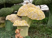 壽光菜博會一日游 壽光菜博會一日游