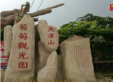 大澤山葡萄采摘、觀光索道、紅高粱影視基地大巴二日游 大澤山葡萄采摘、觀光索道、紅高粱影視基地大巴二日游