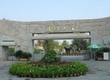 【暑假游廈門】廈門科技館、廈門大學、鼓浪嶼、南普陀寺、夢想起航廈門研學6日游 【暑假游廈門】廈門科技館、廈門大學、鼓浪嶼、南普陀寺、夢想起航廈門研學6日游