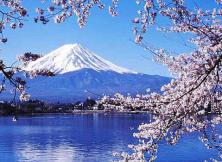 嘉華旅游---日本本州特惠六日（全日空，含煙臺(tái)到青島往返接送）