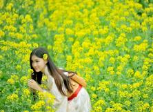 {清明節}揚州瘦西湖、李中水上森林公園+興化油菜花三日游 {清明節}揚州瘦西湖、李中水上森林公園+興化油菜花三日游