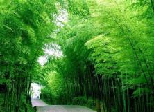 【2021暑假出游】日照九仙山大峽谷+東夷小鎮(zhèn)+月湖山水+竹洞天大巴二日游