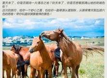 【綠野仙蹤暑期游】烏蘭布統(tǒng)+錫林郭勒+張北草原+古北水鎮(zhèn)雙動(dòng)純玩5日游 【綠野仙蹤暑期游】烏蘭布統(tǒng)+錫林郭勒+張北草原+古北水鎮(zhèn)雙動(dòng)純玩5日游