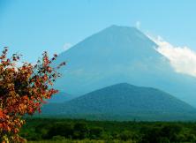 包機往返*----日本本州全景6日游 煙臺起止