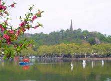 千島水上油菜花海+水上森林+揚州瘦西湖.東關古街.京杭大運河畔3日