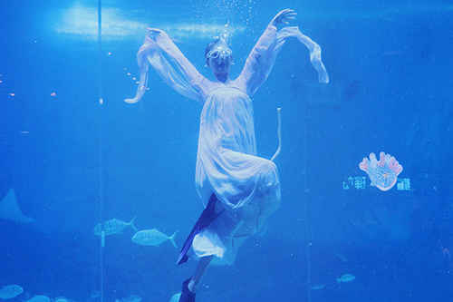 別樣中秋節 煙臺鯨鯊海洋公園上演海底“嫦娥奔月”