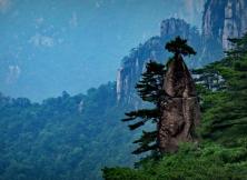 【8月游黃山】醉美婺源+險秀黃山+桃花源里西遞+第一秀水千島湖、湖光山色純玩雙飛五日游 【8月游黃山】醉美婺源+險秀黃山+桃花源里西遞+第一秀水千島湖、湖光山色純玩雙飛五日游