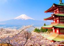 韓國、日本簽證，單次簽證、三年、五年多次往返簽證