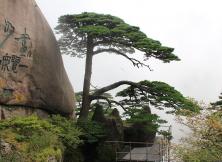 【9月游黃山】醉美婺源+險秀黃山+桃花源里西遞+第一秀水千島湖湖光山色純玩雙飛六日游 【9月游黃山】醉美婺源+險秀黃山+桃花源里西遞+第一秀水千島湖湖光山色純玩雙飛六日游