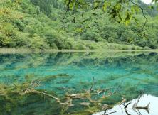 成都、九寨溝、黃龍、峨眉山、樂山、都江堰雙飛8日游