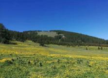 舌尖上的呼倫貝爾 邊城滿洲里、呼倫湖、 哈烏爾河、根河濕地公園 呼倫貝爾大草原、冰雪樂園VIP尊貴雙飛六日游 舌尖上的呼倫貝爾 邊城滿洲里、呼倫湖、 哈烏爾河、根河濕地公園 呼倫貝爾大草原、冰雪樂園VIP尊貴雙飛六日游