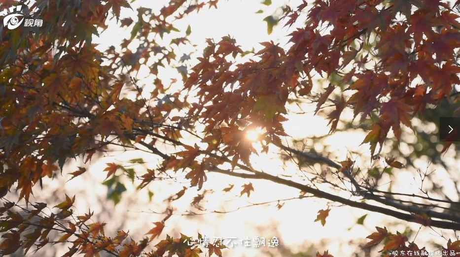 360截圖20191119084623890