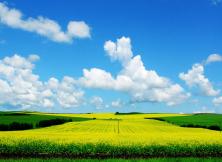 山海關、北戴河、哈爾濱、滿洲里、呼倫貝爾大草原、長白山、 丹東、鴨綠江、朝鮮新義州、沈陽 專列12日游 山海關、北戴河、哈爾濱、滿洲里、呼倫貝爾大草原、長白山、 丹東、鴨綠江、朝鮮新義州、沈陽 專列12日游