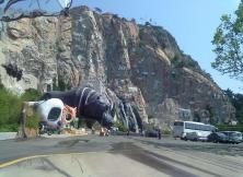 【母親節(jié)特惠】威海西霞口野生動物園一日游 【母親節(jié)特惠】威海西霞口野生動物園一日游