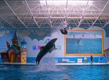 【國慶假期.】蓬萊極地海底世界一日游 【國慶假期.】蓬萊極地海底世界一日游