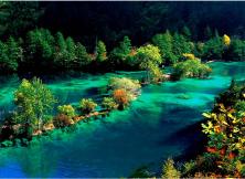 【2021至尊全景】成都、九寨溝、黃龍、樂山大佛、峨眉山純玩雙飛六日游