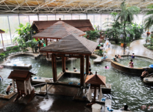 嘉華旅游~湯泊溫泉一日游