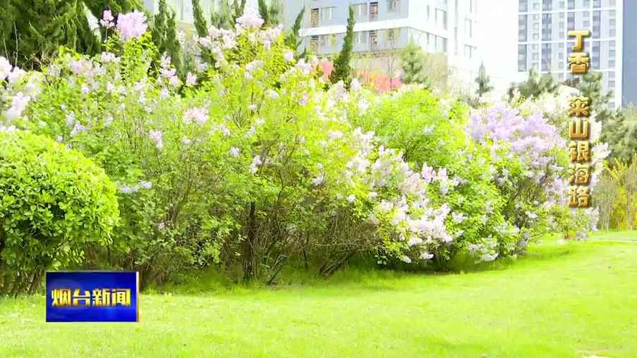 仙境海岸春暖花開！煙臺賞花推薦這些好地方