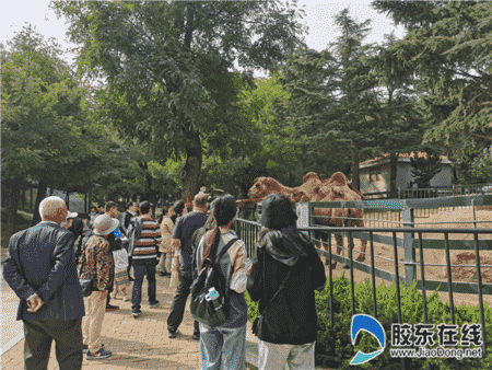 看萌寵去！長假首日南山公園花團錦簇節日氣氛濃