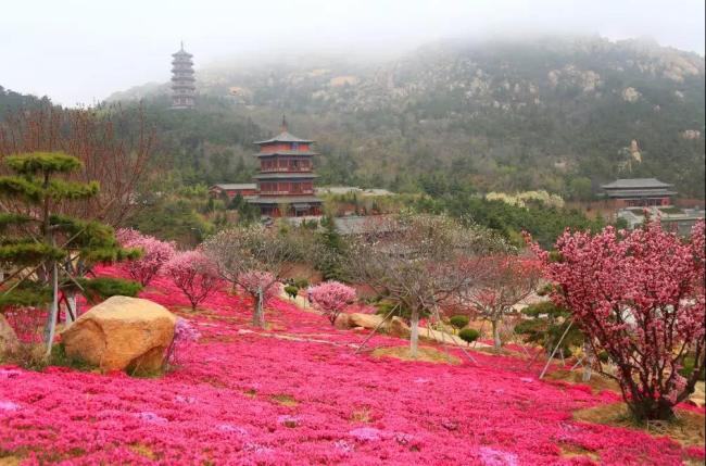 微信圖片_20190422175421