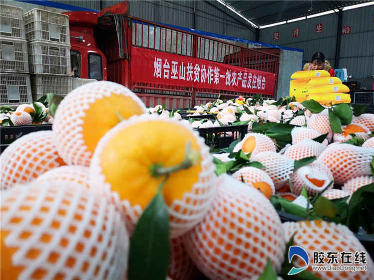 煙臺和巫山九年相戀 他們到底經歷了什么？(圖)