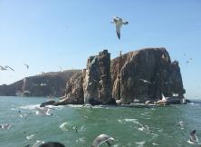 長島漁家樂兩日游(天天發) 長島漁家樂兩日游(天天發)