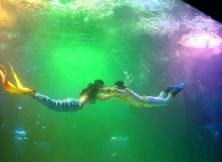 【清明節(jié)】蓬萊海底純玩一日游 【清明節(jié)】蓬萊海底純玩一日游