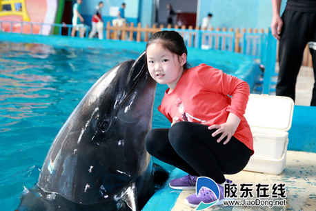 海豚媽媽給孩子獻上香吻