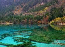 嘉華旅游---成都、九寨、黃龍雙飛6日游特惠游