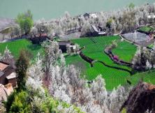 嘉華旅游煙臺起止---金川梨花、丹巴甲居藏寨磨西賞花雙飛6日游