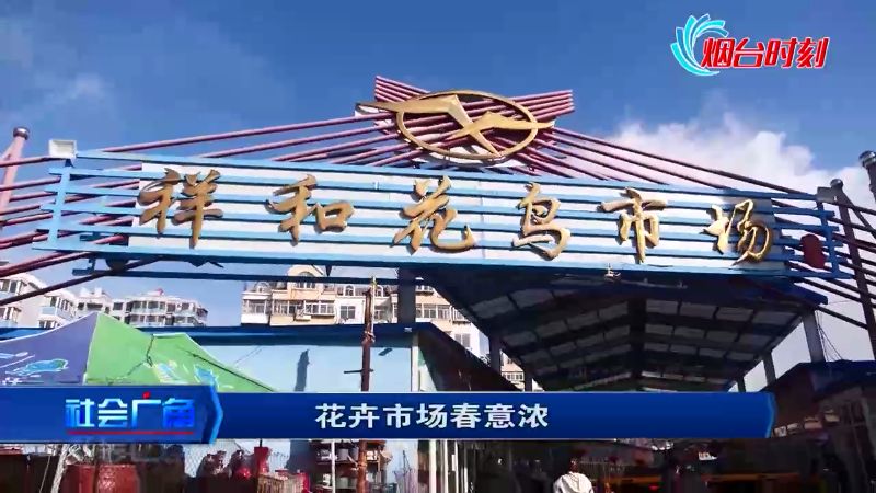 過年買花?這個花卉市場挑花你的眼 過年買花?這個花卉市場挑花你的眼