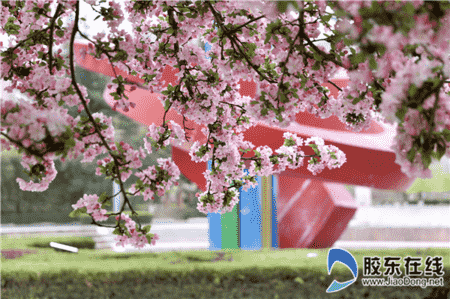 微信圖片_20200502082220