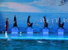 【11月周邊游】蓬萊極地海底世界一日游