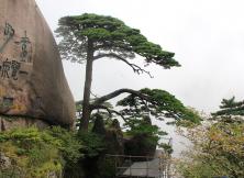 【五一假期】五一假期：安徽黃山·宏村·潛口民宅·屯溪老街精品汽車四日游