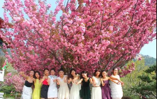 圣誕是“洋節(jié)” 元旦是自己的 石島赤山3天假期特惠！