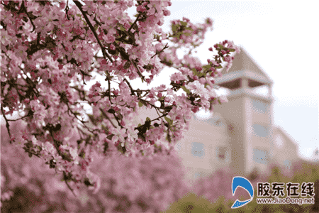 微信圖片_20200502082110