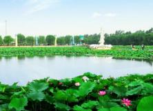 林海生態園(濱海國家濕地公園) 超值一日游 林海生態園(濱海國家濕地公園) 超值一日游