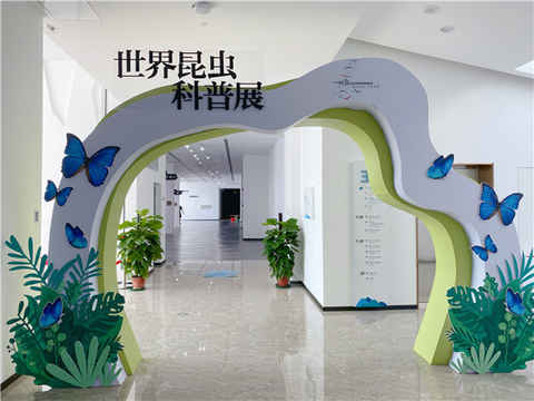 長(zhǎng)島舉行世界昆蟲科普展 巨人蜈蚣 捕鳥蛛等亮相