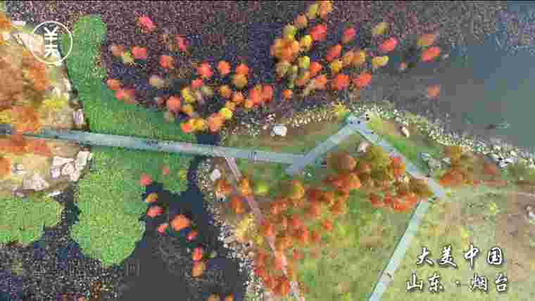 來煙臺，感受北緯37°的深秋浪漫