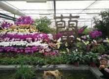 {特價(jià)，三月}蘭陵+尼山圣境休閑二日游