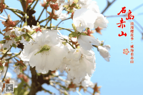 微信截圖_20190410125824